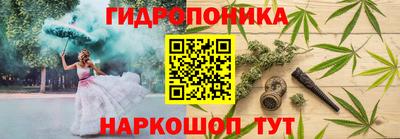 2c-b Обь