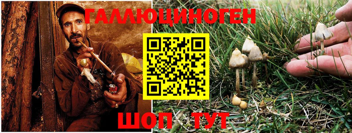 Галлюциногенные грибы MAGIC MUSHROOMS Пыть-Ях